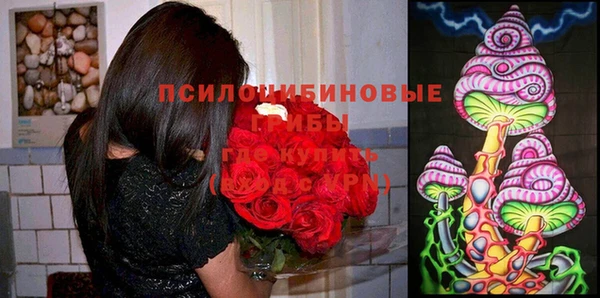 прущая мука Алексин